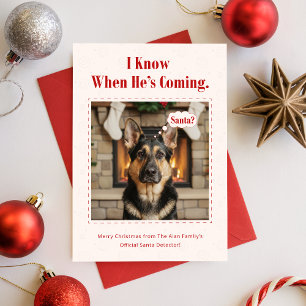 Cartes Pour Fêtes Annuelles Photo de Noël minimaliste de chien mignon et drôle