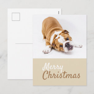 Cartes Pour Fêtes Annuelles Photo de Noël personnalisé de chiot Bouledogue Ang