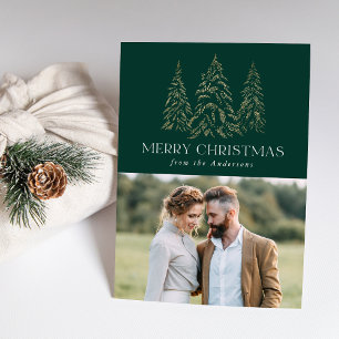 Cartes Pour Fêtes Annuelles Photo de Noël vert pin hivernal pétillant