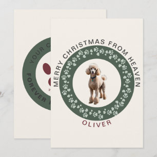Cartes Pour Fêtes Annuelles Photo de Noël vintage d'un animal de compagnie déc