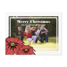 Photo de vacances Classic Poinsettia