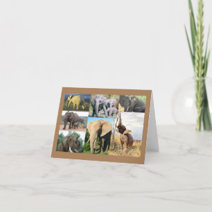 Cartes Pour Fêtes Annuelles Photo d'éléphant
