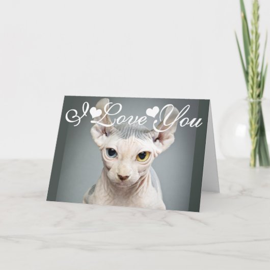Cartes Pour Fêtes Annuelles Photo d'image de chat Sphinx Elf je t'aime (Devant)