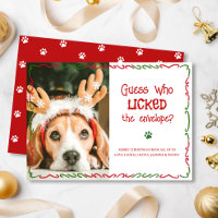 Photo drôle de Noël d'animal de compagnie qui a lé