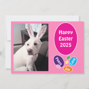 Cartes Pour Fêtes Annuelles Photo du chien mignon portant des oreilles de lapi
