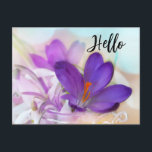 Cartes Pour Fêtes Annuelles Photo d'un joli Crocus de printemps violet Bonjour<br><div class="desc">Carte postale avec une belle photo d'un crocus violet foncé serti dans un pot en verre. Une légère fleur violette est présente dans l'arrière - plan.</div>
