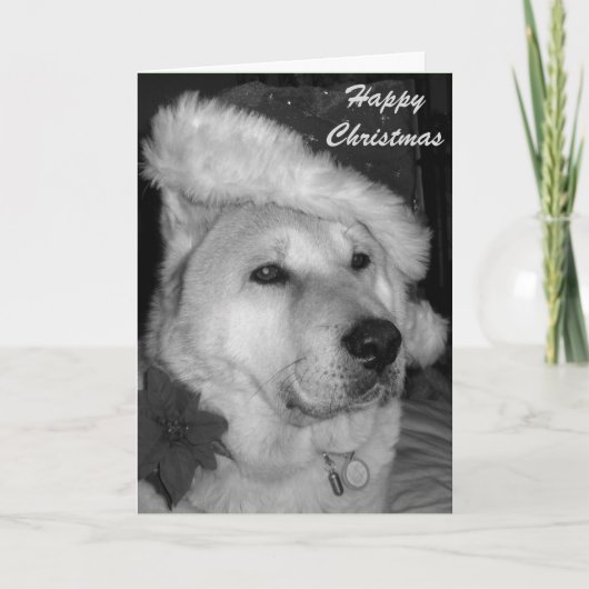 Cartes Pour Fêtes Annuelles photo en noir et blanc d'un chien habillé en père (Devant)