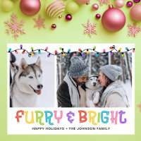 Photo Furry & Bright Dog
