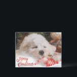 Cartes Pour Fêtes Annuelles Photo Joyeux budget de superposition de neige de N<br><div class="desc">Customisez cette carte postale de vacances avec votre photo préférée. Nous avons ajouté une couche de superposition de neige et d’accent Joyeux Noël. Parfait pour tous vos amis et votre famille.</div>