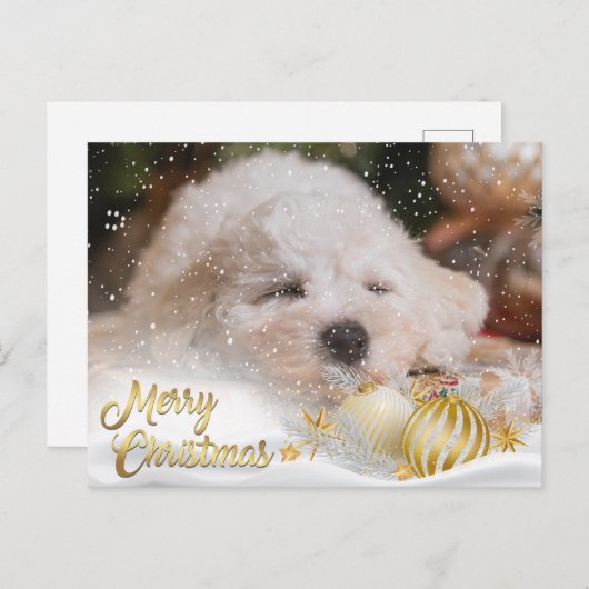 Cartes Pour Fêtes Annuelles Photo Joyeux Noël Neige superposition Budget Or (Devant / Derrière)