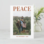 Cartes Pour Fêtes Annuelles Photo Paix (Debout devant)