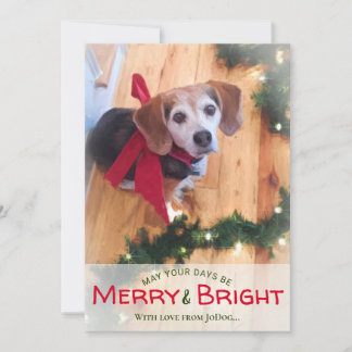 Cartes Pour Fêtes Annuelles Photo Pet & Family Joyeux & Bright Christmas H
