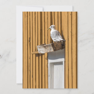 Cartes Pour Fêtes Annuelles Photo Seagull Yellow Norwegian House