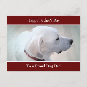 Cartes Pour Fêtes Annuelles Photo White Labrador Retriever Mix Cute Profile