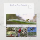 Cartes Pour Fêtes Annuelles Photographie de la faune australienne (Devant / Derrière)