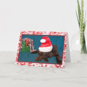 Cartes Pour Fêtes Annuelles Photographie d'un labrador chocolat portant un cha