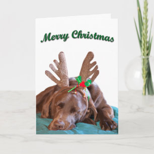 Cartes Pour Fêtes Annuelles Photographie personnalisée d'un labrador chocolat