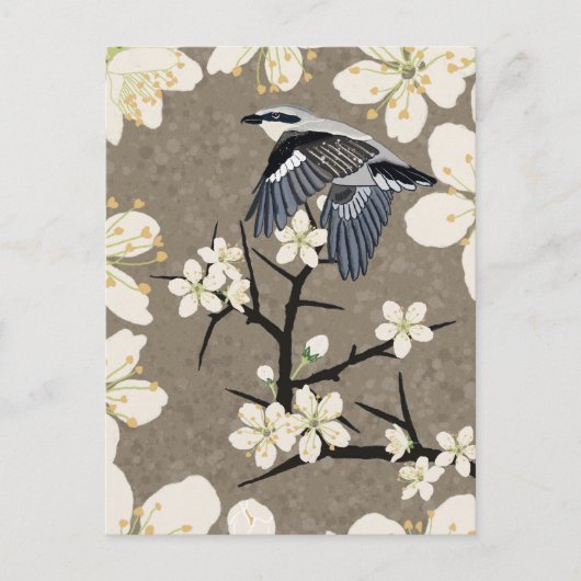 Cartes Pour Fêtes Annuelles Pie-grièche (Devant)