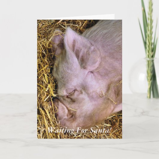 CARTES POUR FÊTES ANNUELLES PIÈCES DE NOËL (Devant)