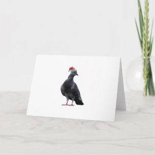 Cartes Pour Fêtes Annuelles Pigeon Santa Hat