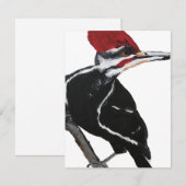 Cartes Pour Fêtes Annuelles Pileated Woodpecker (Devant / Derrière)