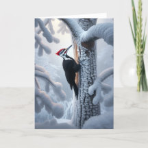 PILEATED WOODPECKER HIVER - HIVER WONDERLAND