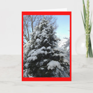 Cartes Pour Fêtes Annuelles Pin de neige