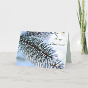 Cartes Pour Fêtes Annuelles Pin neigeux