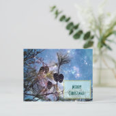 Cartes Pour Fêtes Annuelles Pine de Noël cônes et ciel étoilé (Debout devant)