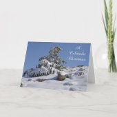 Cartes Pour Fêtes Annuelles Pine d'hiver Colorado (Devant)