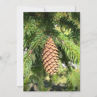 Cartes Pour Fêtes Annuelles Pine Tree Perfection