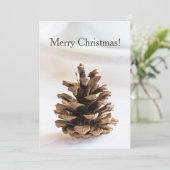 Cartes Pour Fêtes Annuelles Pinecone (Debout devant)