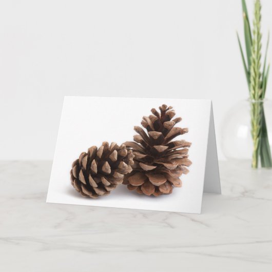 Cartes Pour Fêtes Annuelles Pinecones (Devant)