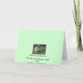 Cartes Pour Fêtes Annuelles Pinecones à Noël (Dos)