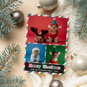 Cartes Pour Fêtes Annuelles Pink Green Retro Merry Woofmas Photo Collage