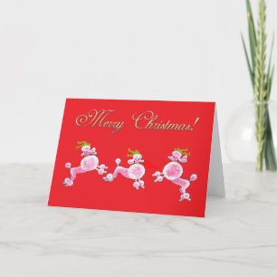 Cartes Pour Fêtes Annuelles Pink Poodle Retro Merry Christmas Greeting Cards