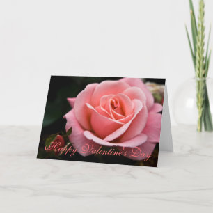 Cartes Pour Fêtes Annuelles Pink Rose