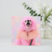 Cartes Pour Fêtes Annuelles Pink Toy Poodle, Mozzarella The Poodle, card (Debout devant)