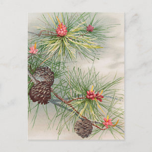Cartes Pour Fêtes Annuelles Pins d'arbre de Noël et peinture à fleurs vacances
