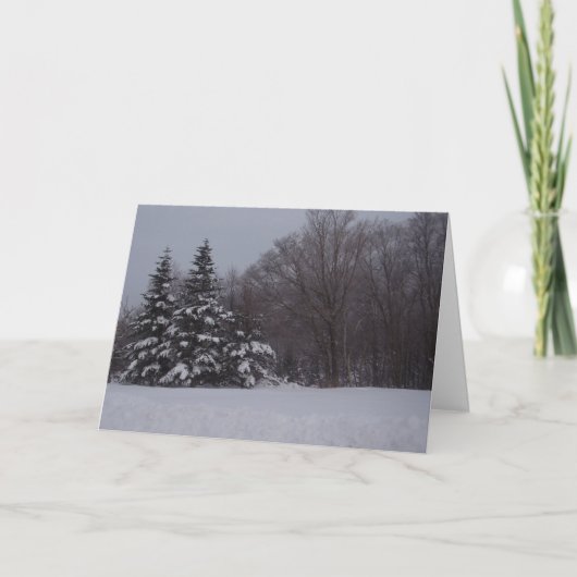 Cartes Pour Fêtes Annuelles Pins neigeux (Devant)