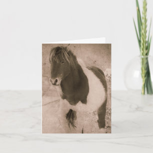 Cartes Pour Fêtes Annuelles Pinto Pony Sepia Grunge, Merci