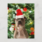 Cartes Pour Fêtes Annuelles Pitbull Chien Arbre de Noël Ornements Snowman (Devant)