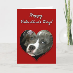 Cartes Pour Fêtes Annuelles Pitbull puppy Valentines