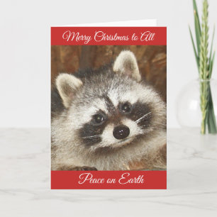 Cartes Pour Fêtes Annuelles Pixie Raccoon voeux de Noël