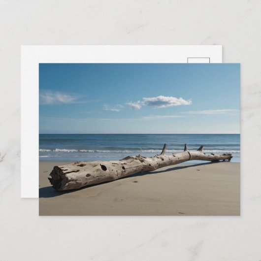 Cartes Pour Fêtes Annuelles Plage de Driftwood (Devant / Derrière)