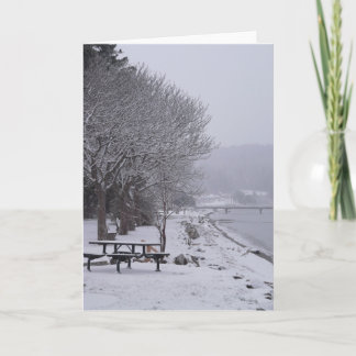 Cartes Pour Fêtes Annuelles Plage de galets Scène d'hiver 2