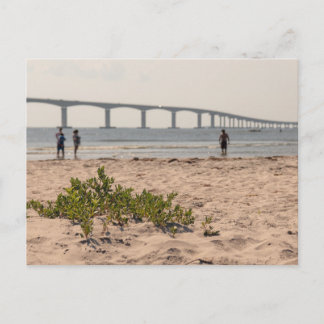 Cartes Pour Fêtes Annuelles Plage d'Orgeon Inlet