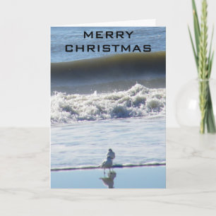 CARTES POUR FÊTES ANNUELLES PLAGE NOËL SOUHAITE