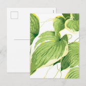 Cartes Pour Fêtes Annuelles Plante de ficus 2 (Devant / Derrière)