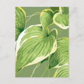 Cartes Pour Fêtes Annuelles Plante de ficus 5 (Devant)